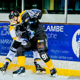 ALBATROS DE BREST VS LES ELEPHANTS DE CHAMBERY 15/12/18 - © Marion BESCOND