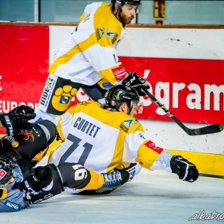 ALBATROS DE BREST VS LES ELEPHANTS DE CHAMBERY 15/12/18 - © Marion BESCOND
