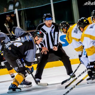 ALBATROS DE BREST VS LES ELEPHANTS DE CHAMBERY 15/12/18 - © Marion BESCOND