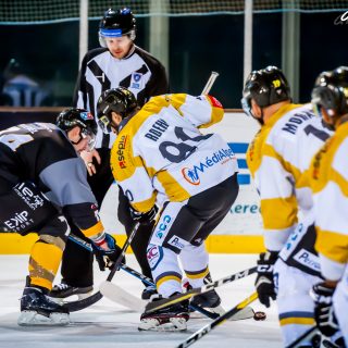 ALBATROS DE BREST VS LES ELEPHANTS DE CHAMBERY 15/12/18 - © Marion BESCOND