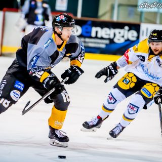 ALBATROS DE BREST VS LES ELEPHANTS DE CHAMBERY 15/12/18 - © Marion BESCOND