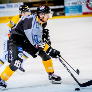 ALBATROS DE BREST VS LES ELEPHANTS DE CHAMBERY 15/12/18 - © Marion BESCOND