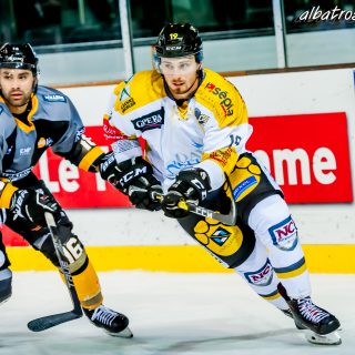 ALBATROS DE BREST VS LES ELEPHANTS DE CHAMBERY 15/12/18 - © Marion BESCOND