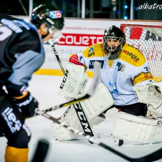 ALBATROS DE BREST VS LES ELEPHANTS DE CHAMBERY 15/12/18 - © Marion BESCOND