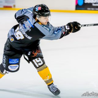 ALBATROS DE BREST VS LES ELEPHANTS DE CHAMBERY 15/12/18 - © Marion BESCOND