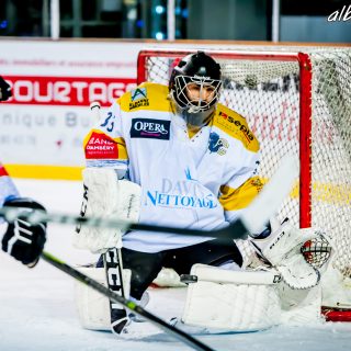 ALBATROS DE BREST VS LES ELEPHANTS DE CHAMBERY 15/12/18 - © Marion BESCOND