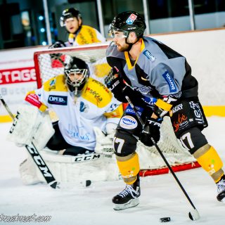 ALBATROS DE BREST VS LES ELEPHANTS DE CHAMBERY 15/12/18 - © Marion BESCOND