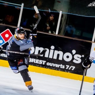 ALBATROS DE BREST VS LES ELEPHANTS DE CHAMBERY 15/12/18 - © Marion BESCOND