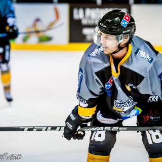 ALBATROS DE BREST VS LES ELEPHANTS DE CHAMBERY 15/12/18 - © Marion BESCOND
