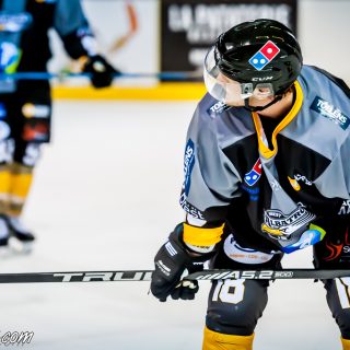 ALBATROS DE BREST VS LES ELEPHANTS DE CHAMBERY 15/12/18 - © Marion BESCOND