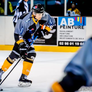ALBATROS DE BREST VS LES ELEPHANTS DE CHAMBERY 15/12/18 - © Marion BESCOND
