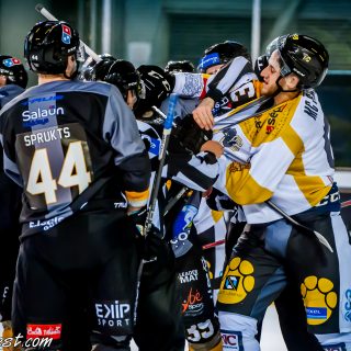 ALBATROS DE BREST VS LES ELEPHANTS DE CHAMBERY 15/12/18 - © Marion BESCOND