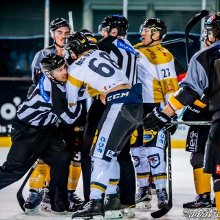 ALBATROS DE BREST VS LES ELEPHANTS DE CHAMBERY 15/12/18 - © Marion BESCOND