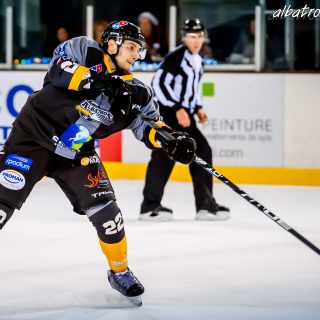 ALBATROS DE BREST VS LES ELEPHANTS DE CHAMBERY 15/12/18 - © Marion BESCOND