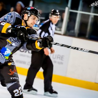 ALBATROS DE BREST VS LES ELEPHANTS DE CHAMBERY 15/12/18 - © Marion BESCOND