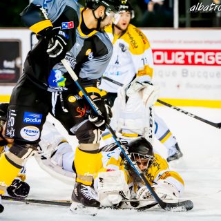 ALBATROS DE BREST VS LES ELEPHANTS DE CHAMBERY 15/12/18 - © Marion BESCOND