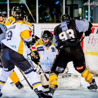 ALBATROS DE BREST VS LES ELEPHANTS DE CHAMBERY 15/12/18 - © Marion BESCOND