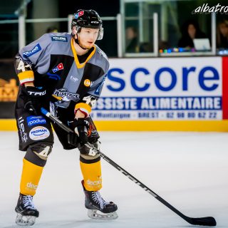 ALBATROS DE BREST VS LES ELEPHANTS DE CHAMBERY 15/12/18 - © Marion BESCOND