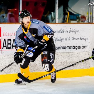 ALBATROS DE BREST VS LES ELEPHANTS DE CHAMBERY 15/12/18 - © Marion BESCOND