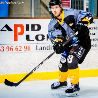 ALBATROS DE BREST VS LES ELEPHANTS DE CHAMBERY 15/12/18 - © Marion BESCOND