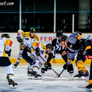 ALBATROS DE BREST VS LES ELEPHANTS DE CHAMBERY 15/12/18 - © Marion BESCOND