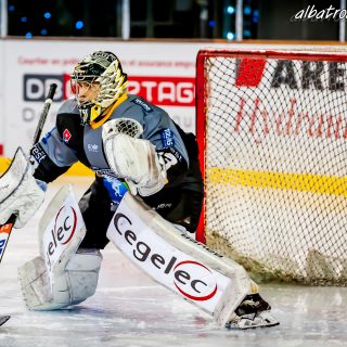 ALBATROS DE BREST VS LES ELEPHANTS DE CHAMBERY 15/12/18 - © Marion BESCOND