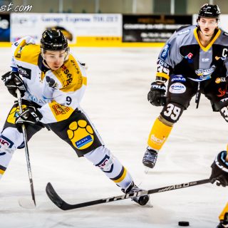 ALBATROS DE BREST VS LES ELEPHANTS DE CHAMBERY 15/12/18 - © Marion BESCOND