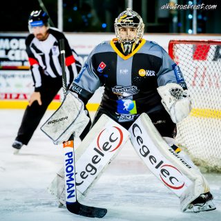 ALBATROS DE BREST VS LES ELEPHANTS DE CHAMBERY 15/12/18 - © Marion BESCOND