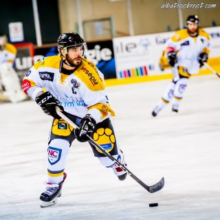 ALBATROS DE BREST VS LES ELEPHANTS DE CHAMBERY 15/12/18 - © Marion BESCOND