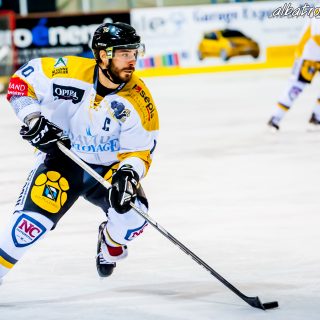 ALBATROS DE BREST VS LES ELEPHANTS DE CHAMBERY 15/12/18 - © Marion BESCOND