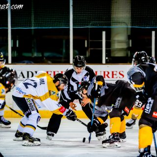ALBATROS DE BREST VS LES ELEPHANTS DE CHAMBERY 15/12/18 - © Marion BESCOND