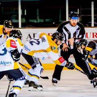 ALBATROS DE BREST VS LES ELEPHANTS DE CHAMBERY 15/12/18 - © Marion BESCOND