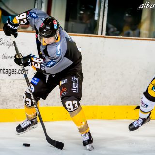 ALBATROS DE BREST VS LES ELEPHANTS DE CHAMBERY 15/12/18 - © Marion BESCOND