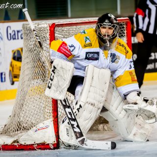 ALBATROS DE BREST VS LES ELEPHANTS DE CHAMBERY 15/12/18 - © Marion BESCOND