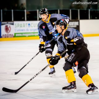 ALBATROS DE BREST VS LES ELEPHANTS DE CHAMBERY 15/12/18 - © Marion BESCOND