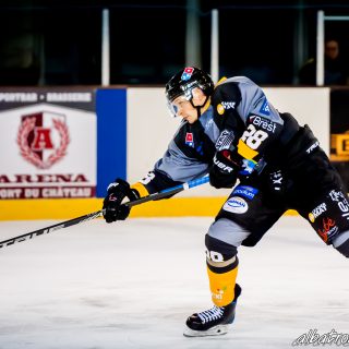 ALBATROS DE BREST VS LES ELEPHANTS DE CHAMBERY 15/12/18 - © Marion BESCOND