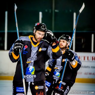 ALBATROS DE BREST VS LES ELEPHANTS DE CHAMBERY 15/12/18 - © Marion BESCOND