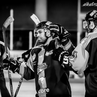ALBATROS DE BREST VS LES ELEPHANTS DE CHAMBERY 15/12/18 - © Marion BESCOND