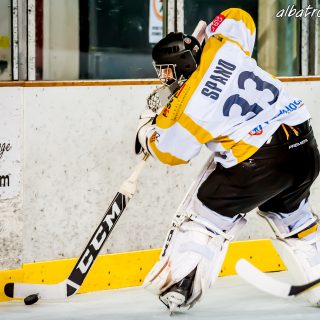ALBATROS DE BREST VS LES ELEPHANTS DE CHAMBERY 15/12/18 - © Marion BESCOND