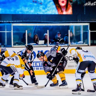 ALBATROS DE BREST VS LES ELEPHANTS DE CHAMBERY 15/12/18 - © Marion BESCOND