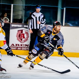ALBATROS DE BREST VS LES ELEPHANTS DE CHAMBERY 15/12/18 - © Marion BESCOND