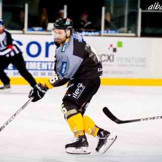 ALBATROS DE BREST VS LES ELEPHANTS DE CHAMBERY 15/12/18 - © Marion BESCOND