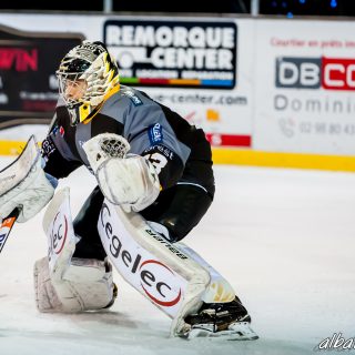 ALBATROS DE BREST VS LES ELEPHANTS DE CHAMBERY 15/12/18 - © Marion BESCOND