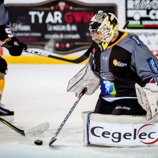 ALBATROS DE BREST VS LES ELEPHANTS DE CHAMBERY 15/12/18 - © Marion BESCOND