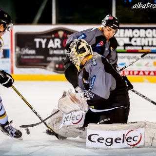 ALBATROS DE BREST VS LES ELEPHANTS DE CHAMBERY 15/12/18 - © Marion BESCOND
