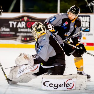 ALBATROS DE BREST VS LES ELEPHANTS DE CHAMBERY 15/12/18 - © Marion BESCOND