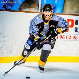 ALBATROS DE BREST VS LES ELEPHANTS DE CHAMBERY 15/12/18 - © Marion BESCOND