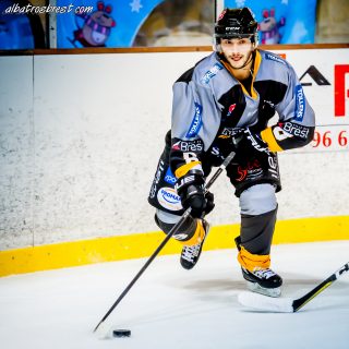 ALBATROS DE BREST VS LES ELEPHANTS DE CHAMBERY 15/12/18 - © Marion BESCOND