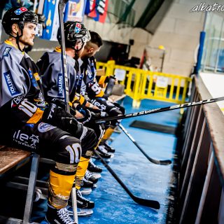 ALBATROS DE BREST VS LES ELEPHANTS DE CHAMBERY 15/12/18 - © Marion BESCOND