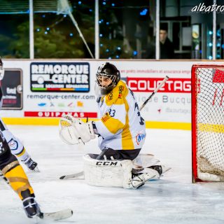 ALBATROS DE BREST VS LES ELEPHANTS DE CHAMBERY 15/12/18 - © Marion BESCOND